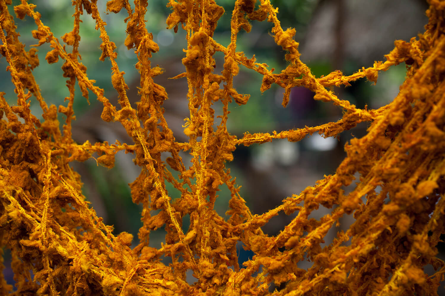 CURCUMA_galeria 41_MG_5515.jpg